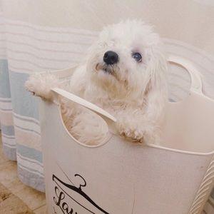 Meet your Posher, Paola